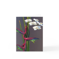 Bird-of-Paradise Orchids