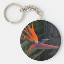 Bird of Paradise Photo Keychain