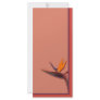 Bird of Paradise