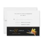 Bird of Paradise RSVP