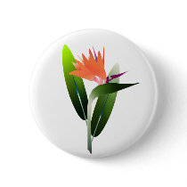 Bird of Paradise Silk Screen