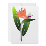 Bird of Paradise Silk Screen
