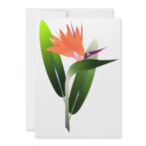 Bird of Paradise Silk Screen
