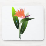 Bird of Paradise Silk Screen