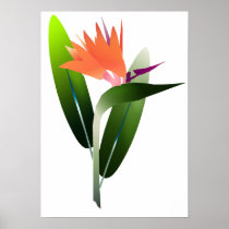Bird of Paradise Silk Screen