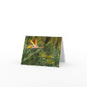 Bird of Paradise Thank You cards
