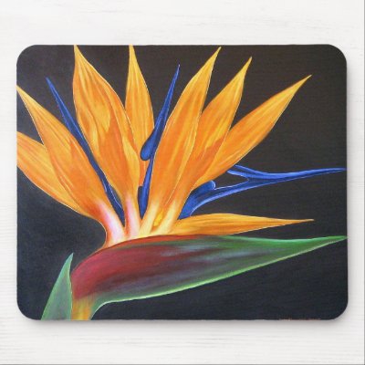 Bird Of Paradise Tropical Flower Painting - Multi Mouse Pad by JUDERM