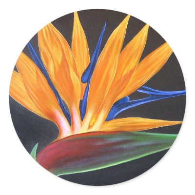 Bird Of Paradise Tropical Flower Painting - Multi Round Sticker by JUDERM