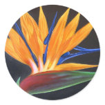 Bird Of Paradise Tropical Flower Painting - Multi stickers