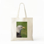 Bird of Prey Bag