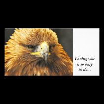 Bird of Prey, Loving you is so easy to do photo cards