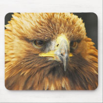 Bird of Prey mousepads