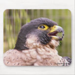 Bird of Prey Mouse Pads