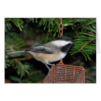 Bird On A Birdfeeder Card