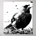 Bird on Grass posters