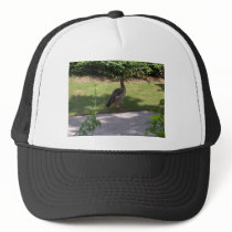 Bird on Ground Trucker Hat