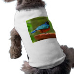Bird on My Back Pet Clothing pet clothing