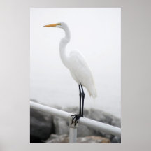 Bird on railing posters