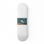 bird on rock skateboard