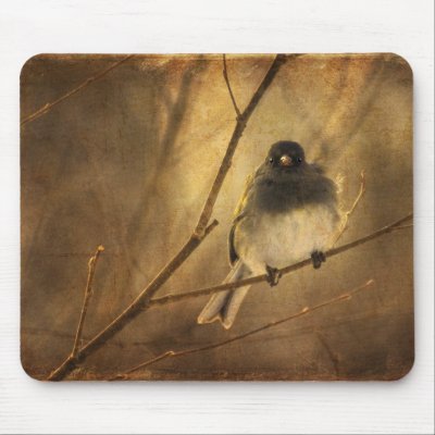 Bird on Winter Branch - Mousepad by LoisBryan