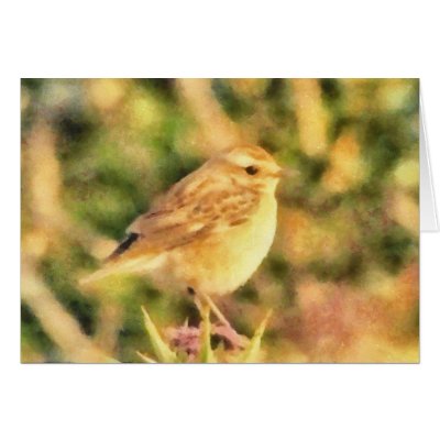 Bird painting greeting card by laly_sb