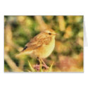 Bird painting cards