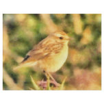 Bird painting flyer