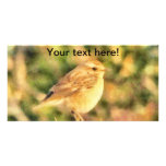 Bird painting photo card