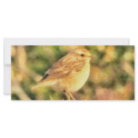 Bird painting rack card