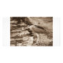 bird photo card