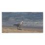 bird photo card template