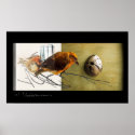Bird: Pine Grossbeak with shell collage poster posters