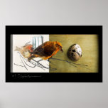 Bird: Pine Grossbeak with shell collage poster posters