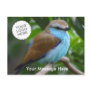 bird postcard