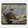 Bird Preening - mousepad