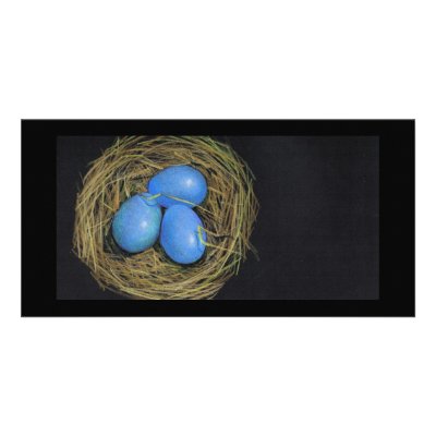 BIRD (ROBIN) EGGS IN NEST: ART by joyart
