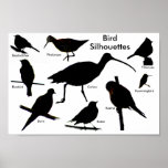 Bird Silhouettes 2 Poster posters