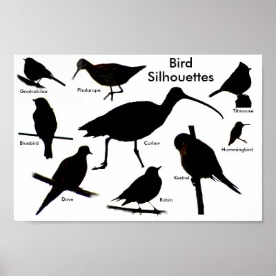 Bird Silhouettes 2 Poster by naturalphotos