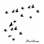 Bird Silhouettes T-Shirt