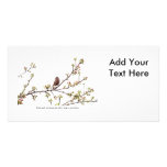Bird Singing a Happy Song photo cards