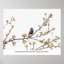 Bird Singing a Happy Song Print