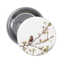 Bird Singing with Spring Flowers Button
