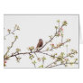 Bird Singing with Spring Flowers Card