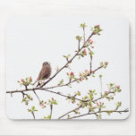 Bird Singing with Spring Flowers Mousepad