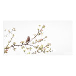 Bird Singing with Spring Flowers photo cards