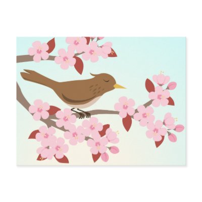 Bird sitting in a cherry blossom tree postcard by Eligri