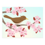Bird sitting in a cherry blossom tree postcard