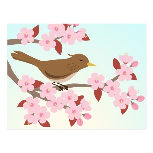 Bird sitting in a cherry blossom tree postcard