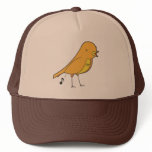 Bird songs hats