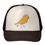 Bird songs mesh hat